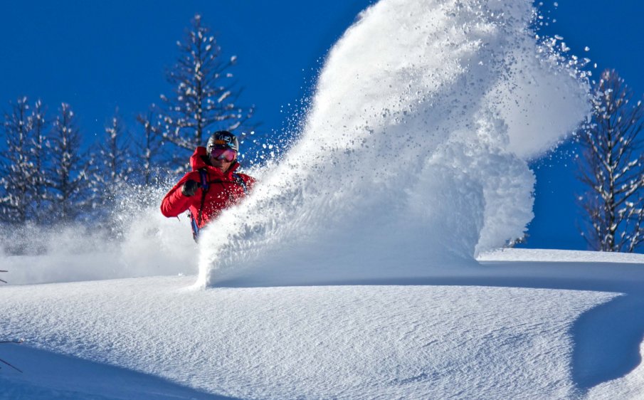 Powder Served Daily